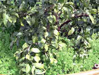 ������������